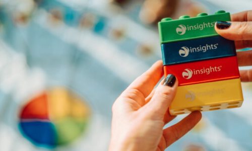 Expert Leadership with Insights Discovery®